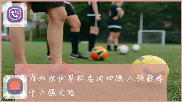 塞内加尔世界杯名次回顾 八强巅峰与十六强之路
