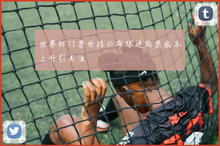 世界杯门票价格公布球迷购票成本上升引关注
