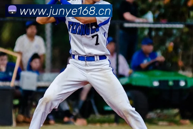 App Interface Preview